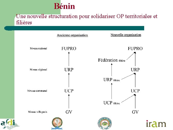 Bénin Une nouvelle structuration pour solidariser OP territoriales et filières 14 