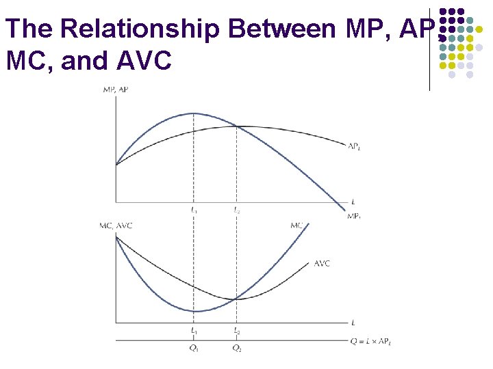 The Relationship Between MP, AP, MC, and AVC 