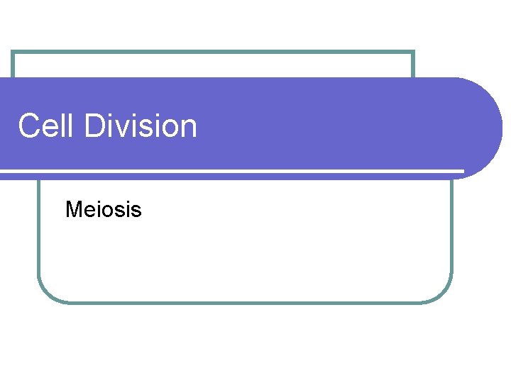 Cell Division Meiosis 