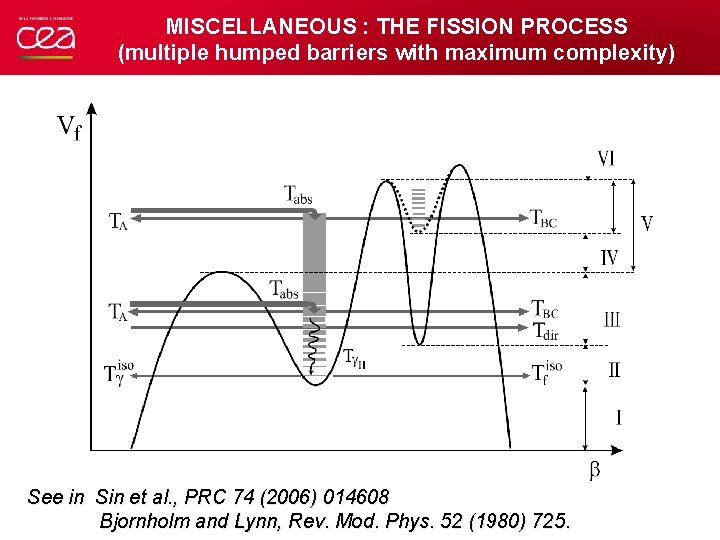 MISCELLANEOUS : THE FISSION PROCESS (multiple humped barriers with maximum complexity) See in Sin