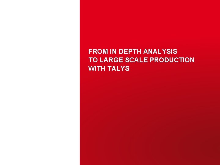 FROM IN DEPTH ANALYSIS TO LARGE SCALE PRODUCTION WITH TALYS CEA | 10 AVRIL