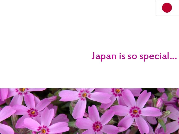 Japan is so special… 
