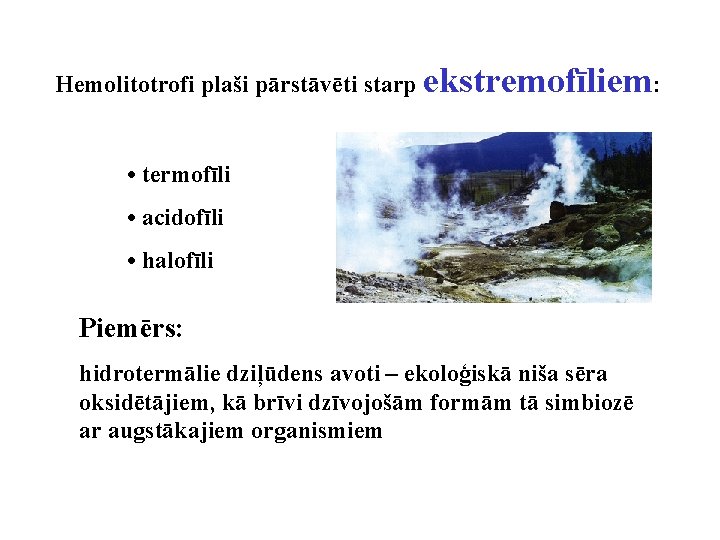 Hemolitotrofi plaši pārstāvēti starp ekstremofīliem: • termofīli • acidofīli • halofīli Piemērs: hidrotermālie dziļūdens