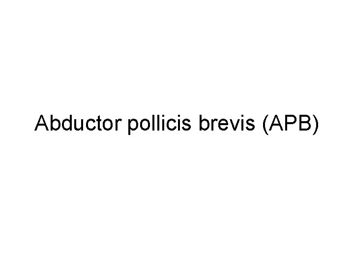 Abductor pollicis brevis (APB) 