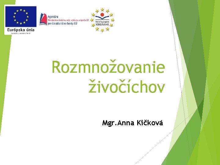 Rozmnožovanie živočíchov Mgr. Anna Kičková 