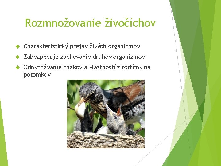 Rozmnožovanie živočíchov Charakteristický prejav živých organizmov Zabezpečuje zachovanie druhov organizmov Odovzdávanie znakov a vlastností