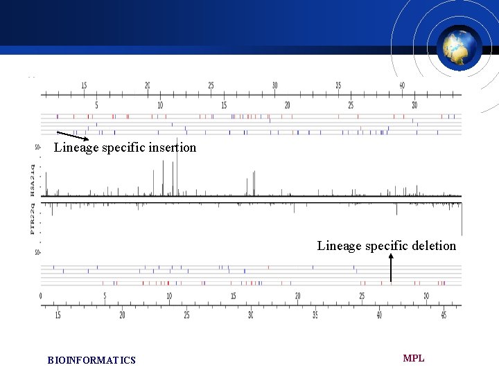 Lineage specific insertion Lineage specific deletion BIOINFORMATICS MPL 