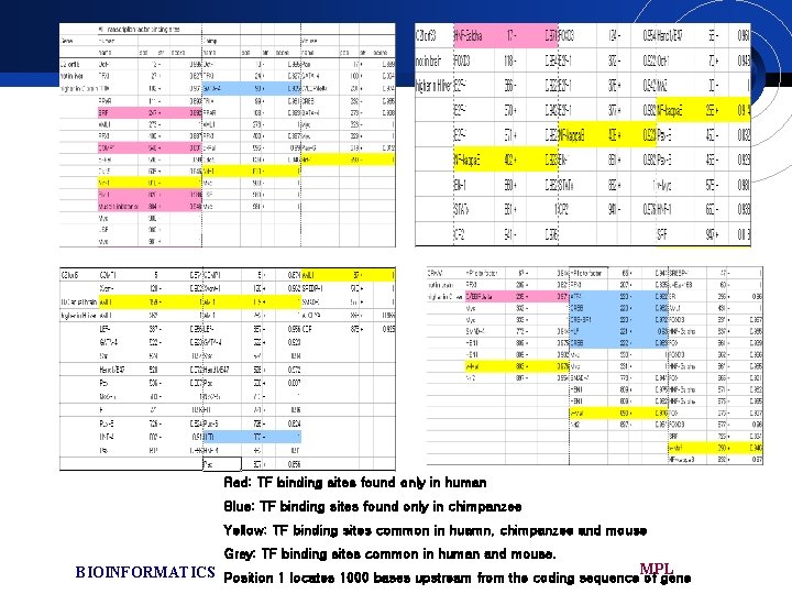 Red: TF binding sites found only in human Blue: TF binding sites found only