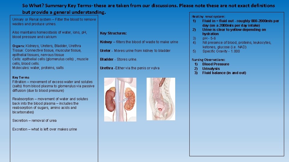So What? Summary Key Terms- these are taken from our discussions. Please note these So What? Summary Key Terms- these are taken from our discussions. Please note these