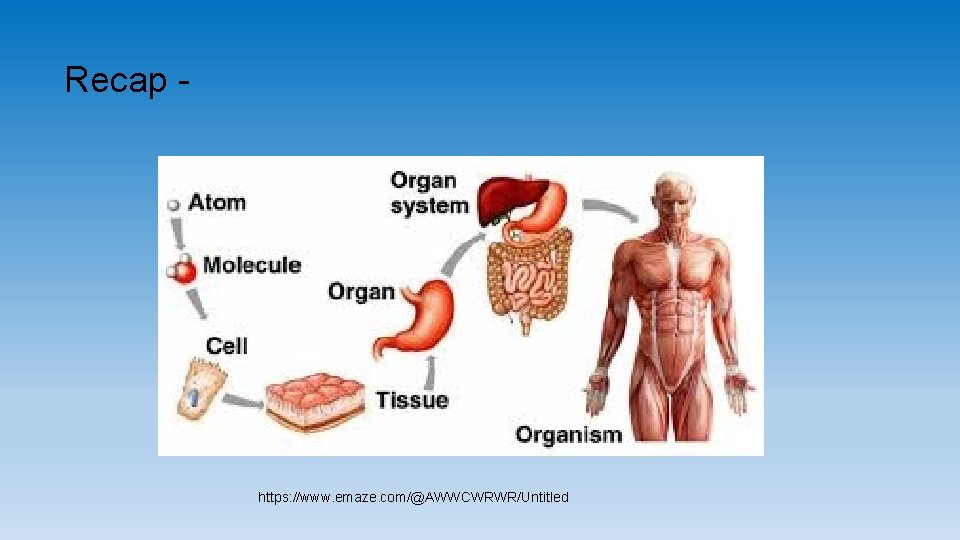 Recap - https: //www. emaze. com/@AWWCWRWR/Untitled Recap - https: //www. emaze. com/@AWWCWRWR/Untitled