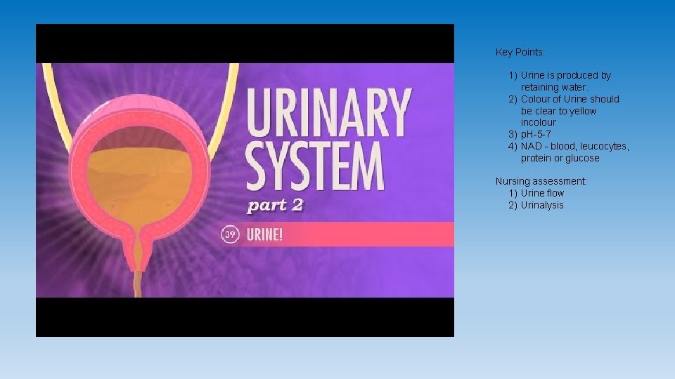 Key Points: 1) Urine is produced by retaining water. 2) Colour of Urine should Key Points: 1) Urine is produced by retaining water. 2) Colour of Urine should