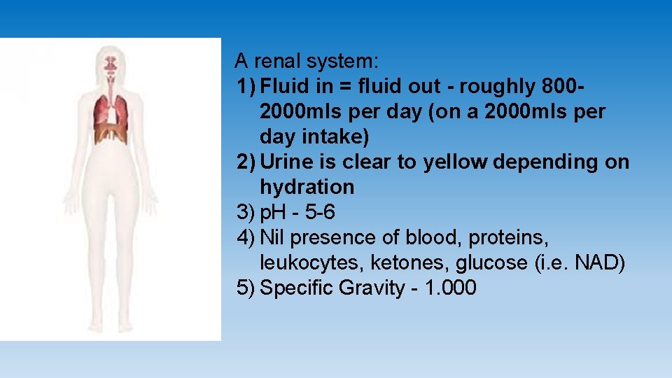 A renal system: 1) Fluid in = fluid out - roughly 8002000 mls per A renal system: 1) Fluid in = fluid out - roughly 8002000 mls per