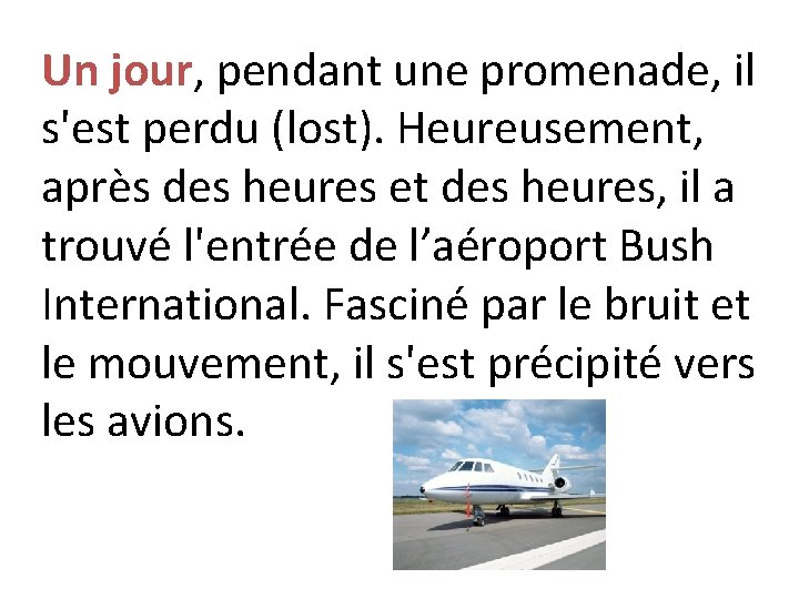 Un jour, pendant une promenade, il s'est perdu (lost). Heureusement, après des heures et