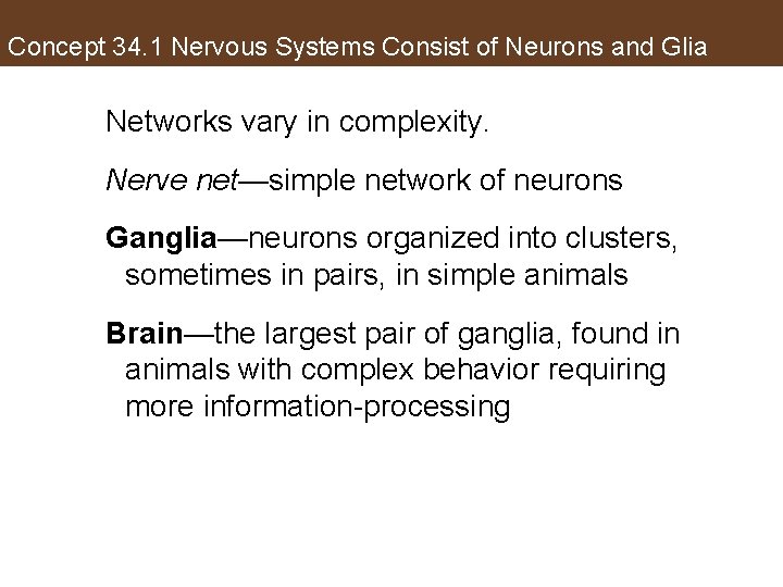 Concept 34. 1 Nervous Systems Consist of Neurons and Glia Networks vary in complexity.