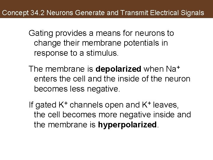 Concept 34. 2 Neurons Generate and Transmit Electrical Signals Gating provides a means for