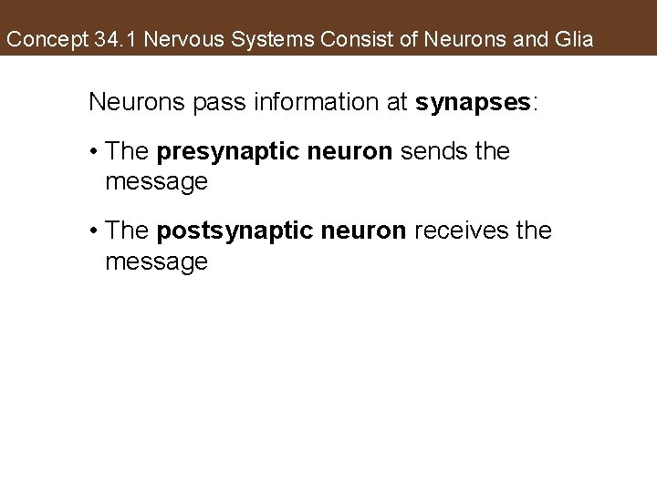 Concept 34. 1 Nervous Systems Consist of Neurons and Glia Neurons pass information at