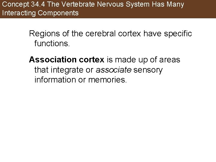 Concept 34. 4 The Vertebrate Nervous System Has Many Interacting Components Regions of the