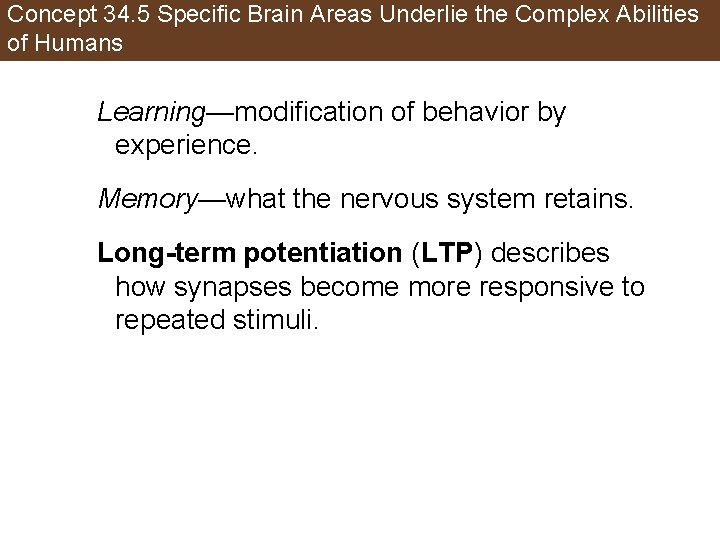 Concept 34. 5 Specific Brain Areas Underlie the Complex Abilities of Humans Learning—modification of