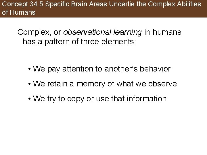Concept 34. 5 Specific Brain Areas Underlie the Complex Abilities of Humans Complex, or
