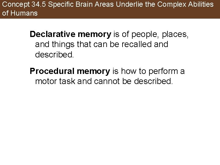 Concept 34. 5 Specific Brain Areas Underlie the Complex Abilities of Humans Declarative memory