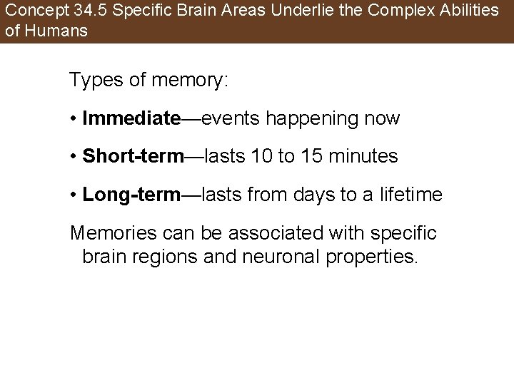 Concept 34. 5 Specific Brain Areas Underlie the Complex Abilities of Humans Types of