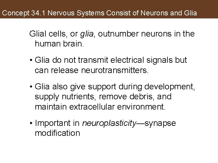 Concept 34. 1 Nervous Systems Consist of Neurons and Glial cells, or glia, outnumber