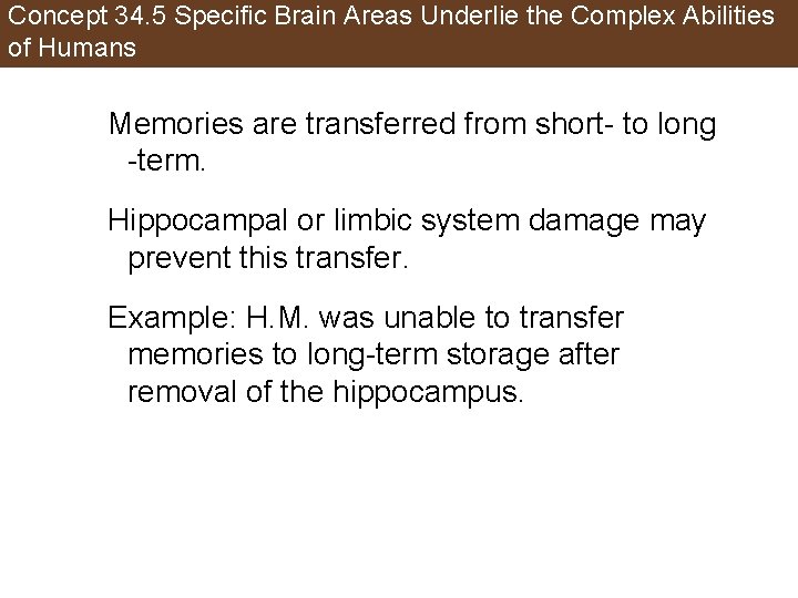 Concept 34. 5 Specific Brain Areas Underlie the Complex Abilities of Humans Memories are