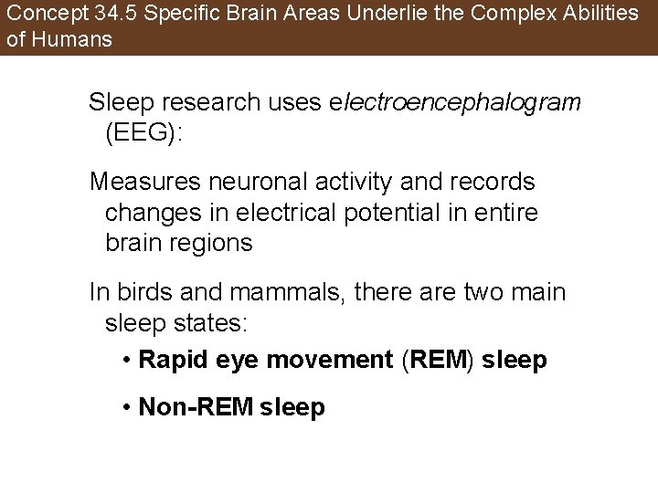 Concept 34. 5 Specific Brain Areas Underlie the Complex Abilities of Humans Sleep research