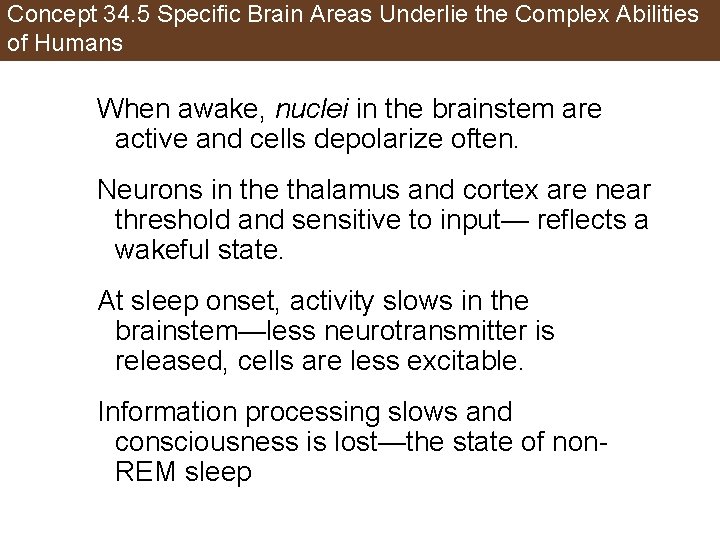 Concept 34. 5 Specific Brain Areas Underlie the Complex Abilities of Humans When awake,