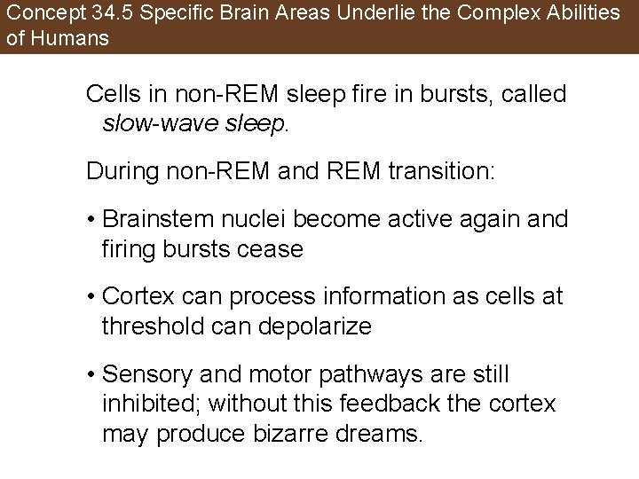 Concept 34. 5 Specific Brain Areas Underlie the Complex Abilities of Humans Cells in