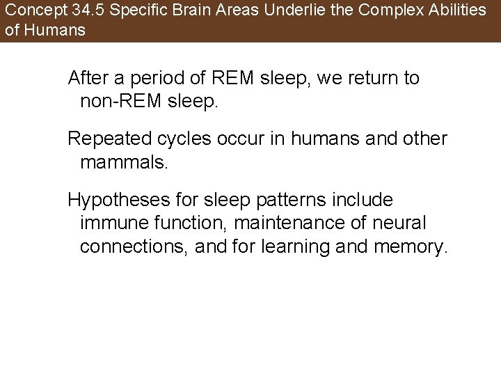 Concept 34. 5 Specific Brain Areas Underlie the Complex Abilities of Humans After a