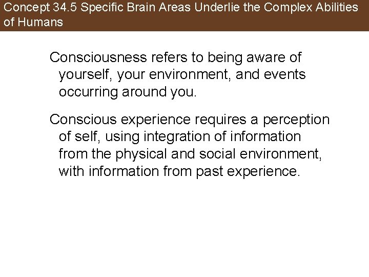 Concept 34. 5 Specific Brain Areas Underlie the Complex Abilities of Humans Consciousness refers