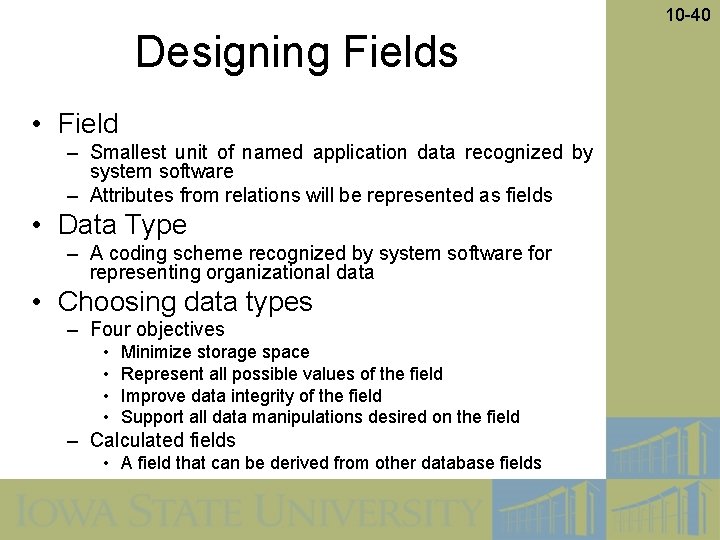 10 -40 Designing Fields • Field – Smallest unit of named application data recognized