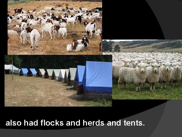 also had flocks and herds and tents. 