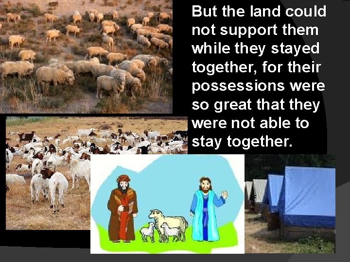 But the land could not support them while they stayed together, for their possessions