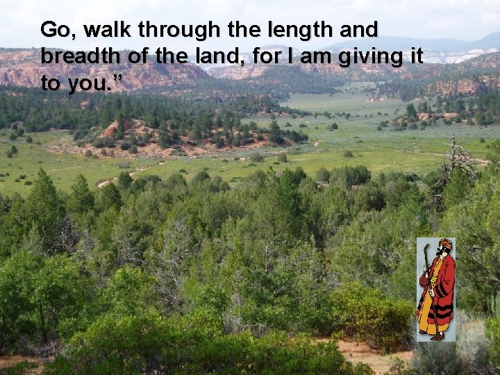 Go, walk through the length and breadth of the land, for I am giving