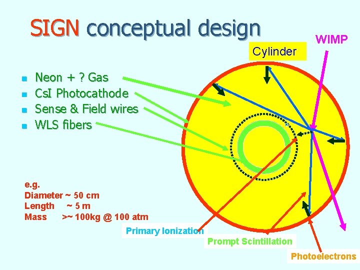 SIGN conceptual design Cylinder n n WIMP Neon + ? Gas Cs. I Photocathode