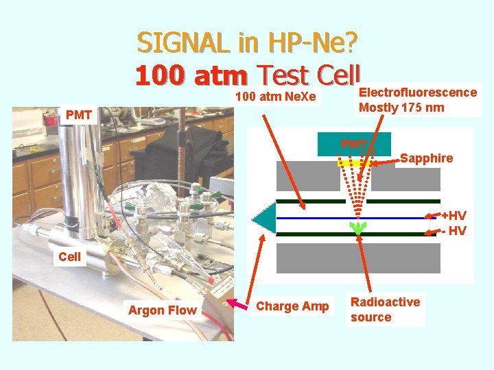 SIGNAL in HP-Ne? 100 atm Test Cell. Electrofluorescence 100 atm Ne. Xe PMT Mostly