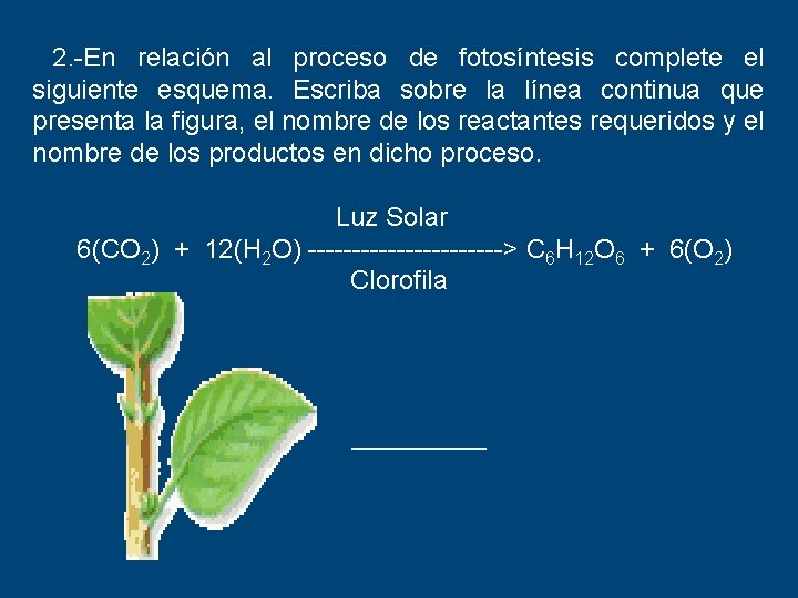 2. -En relación al proceso de fotosíntesis complete el siguiente esquema. Escriba sobre la