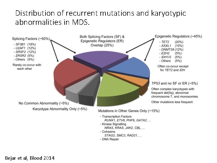 Distribution of recurrent mutations and karyotypic abnormalities in MDS. Bejar et al, Blood 2014 Distribution of recurrent mutations and karyotypic abnormalities in MDS. Bejar et al, Blood 2014