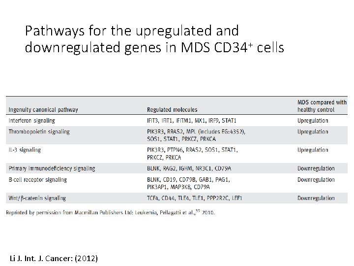 Pathways for the upregulated and downregulated genes in MDS CD 34+ cells Li J. Pathways for the upregulated and downregulated genes in MDS CD 34+ cells Li J.