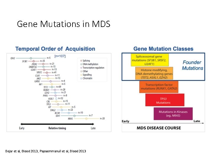 Gene Mutations in MDS Bejar et al, Blood 2013, Papaemmanuil et al, Blood 2013 Gene Mutations in MDS Bejar et al, Blood 2013, Papaemmanuil et al, Blood 2013