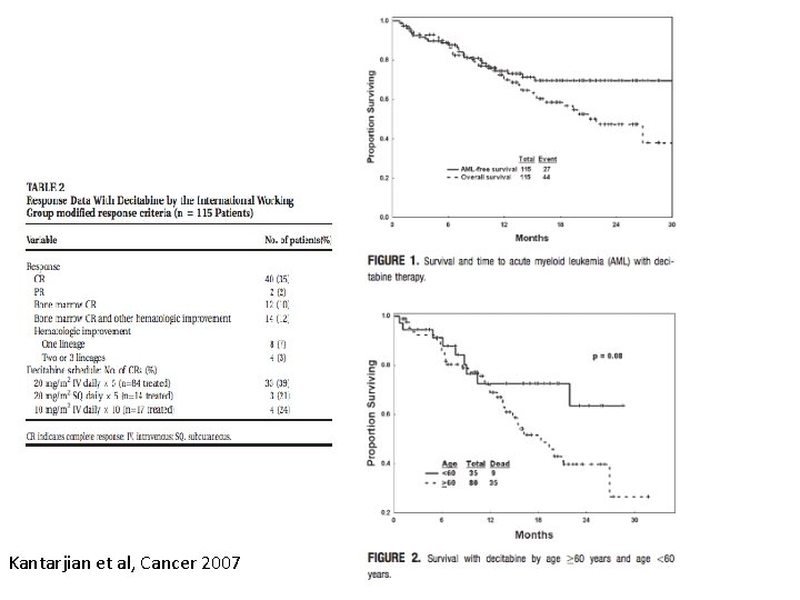 Kantarjian et al, Cancer 2007 Kantarjian et al, Cancer 2007