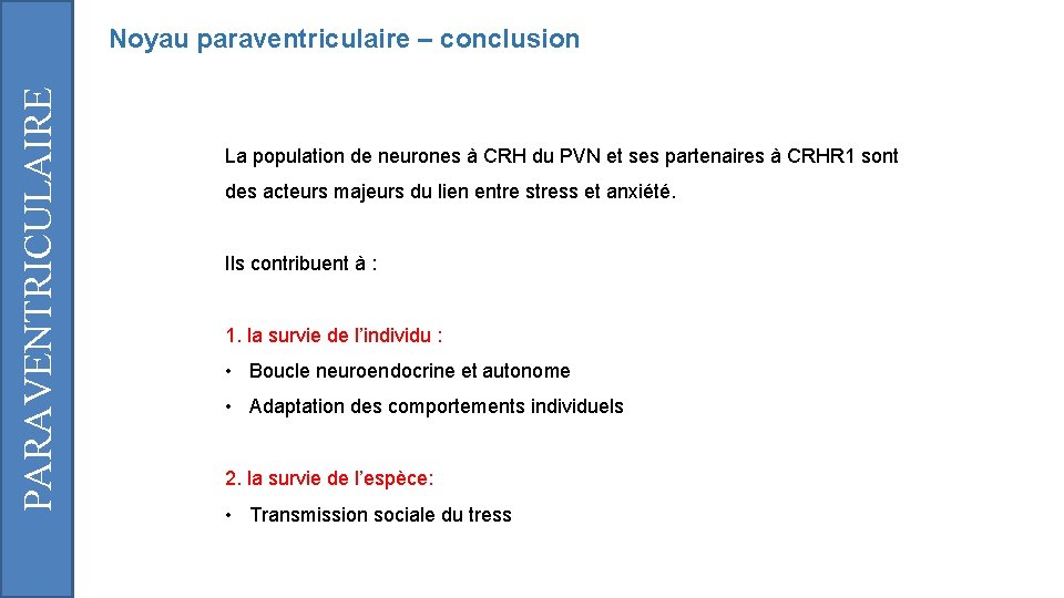 PARAVENTRICULAIRE Noyau paraventriculaire – conclusion La population de neurones à CRH du PVN et