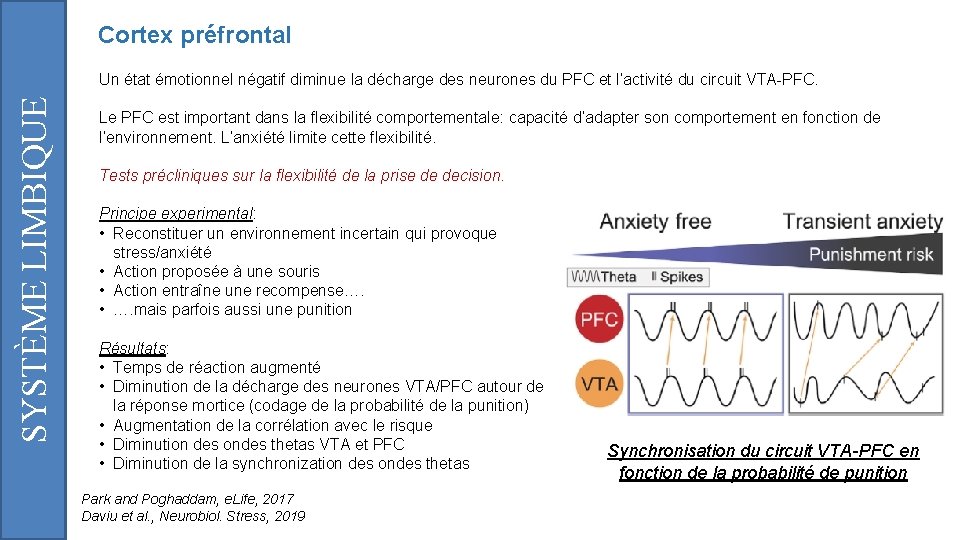 Cortex préfrontal SYSTÈME LIMBIQUE Un état émotionnel négatif diminue la décharge des neurones du