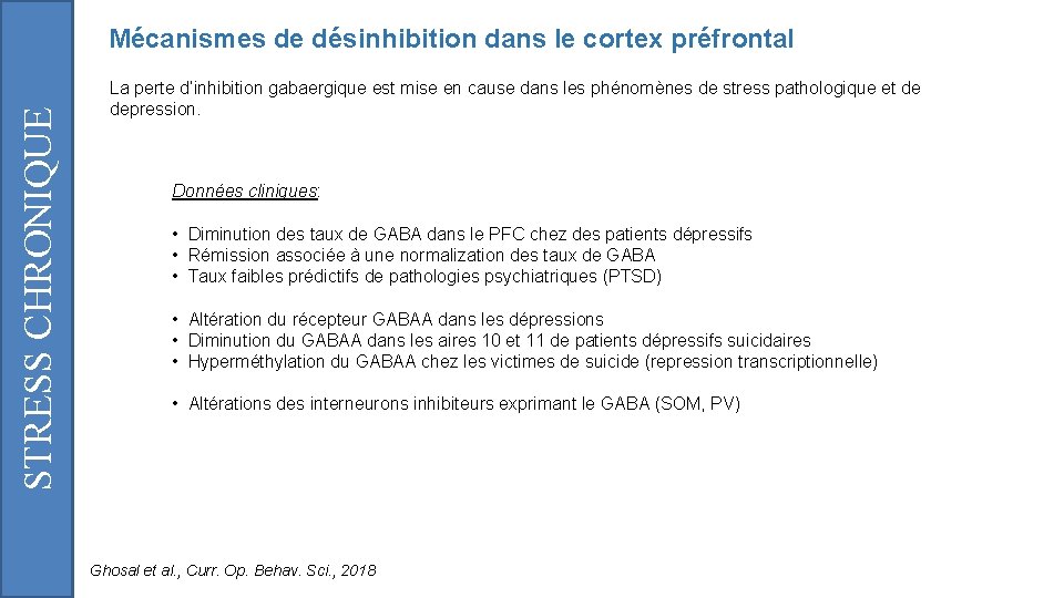 STRESS CHRONIQUE Mécanismes de désinhibition dans le cortex préfrontal La perte d’inhibition gabaergique est