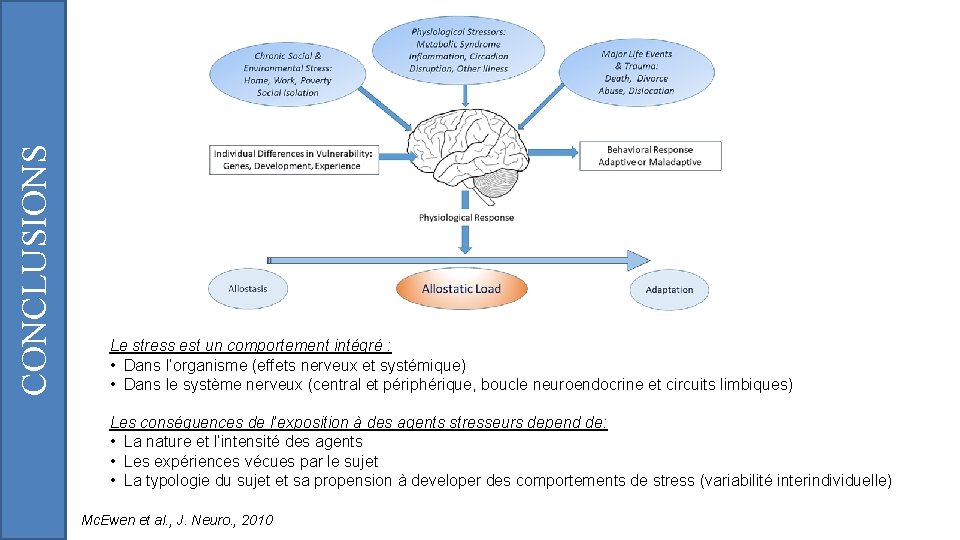 CONCLUSIONS Le stress est un comportement intégré : • Dans l’organisme (effets nerveux et