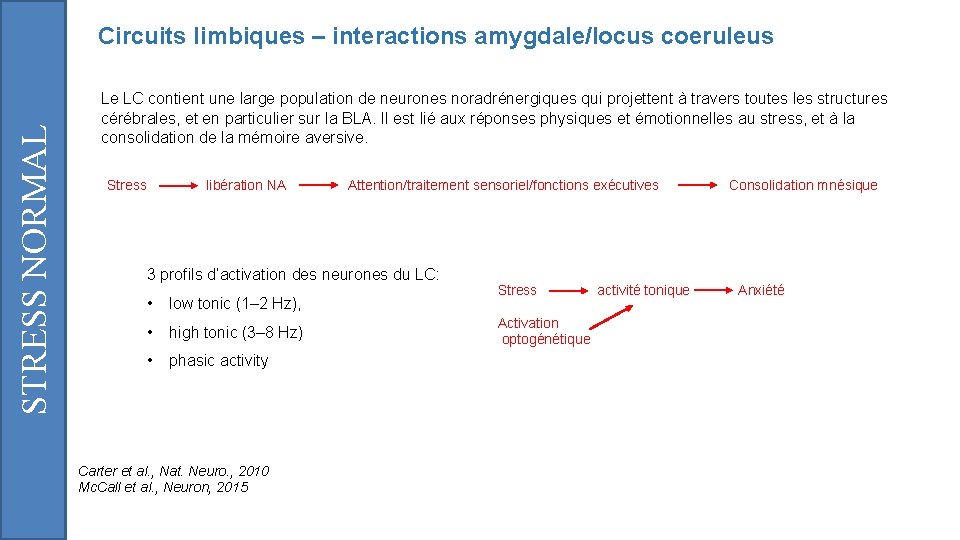 STRESS NORMAL Circuits limbiques – interactions amygdale/locus coeruleus Le LC contient une large population