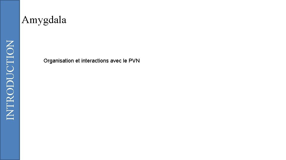 INTRODUCTION Amygdala Organisation et interactions avec le PVN 