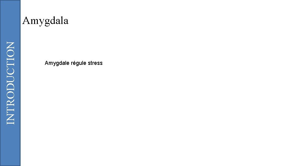 INTRODUCTION Amygdala Amygdale régule stress 